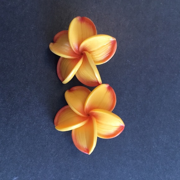 SALE Vintage Hawaiian clip earrings - Picture 2 of 4